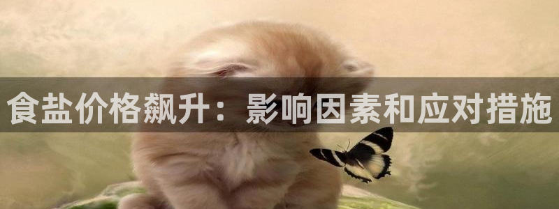 威九国际X8
