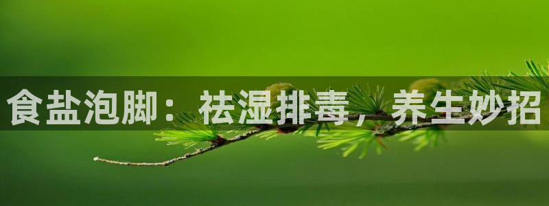 威九国际ppt免费下载