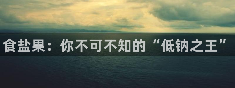 威九国际网站入口地址在哪里