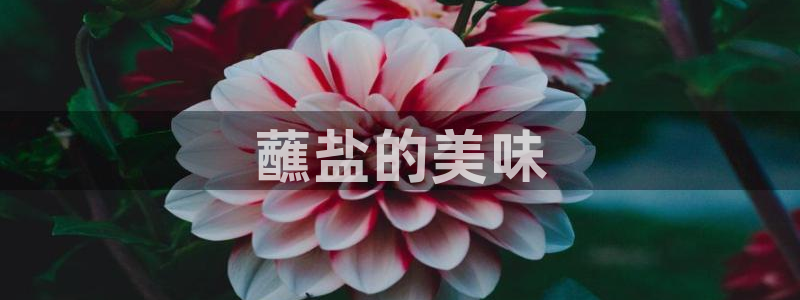 威九国际78mb