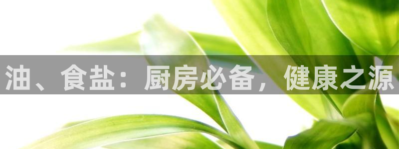 威九国际免费