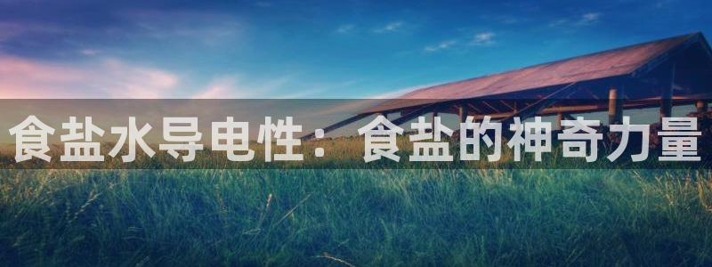威九国际男主