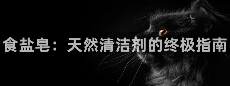 78mapp威九国际最新版