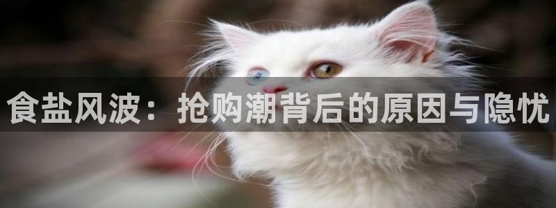 威九国际精彩推荐怎么样