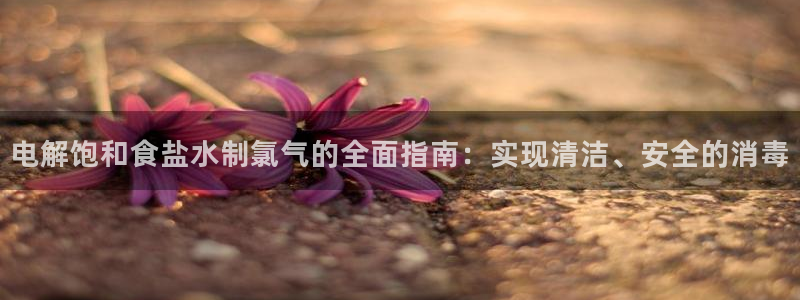 78mapp威九国际媒体