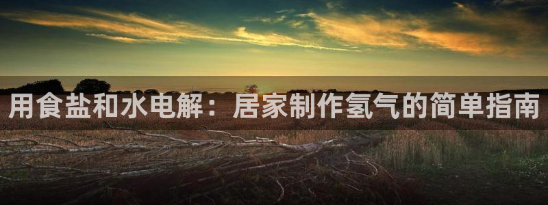威九国际官网在线进入网站查询