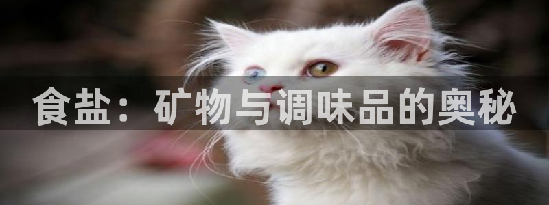 威九国际可以退钱吗怎么退款