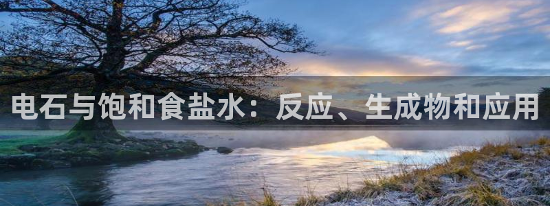 威九国际最受欢迎的功能