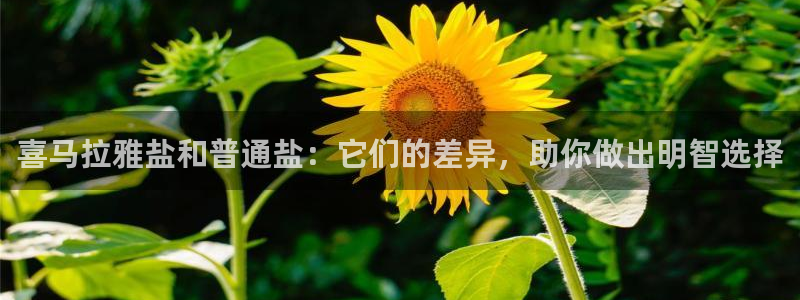 威九国际免费网络站