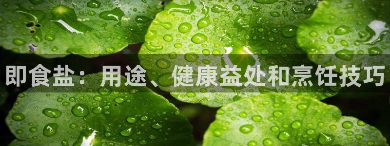 威九国际安全吗
