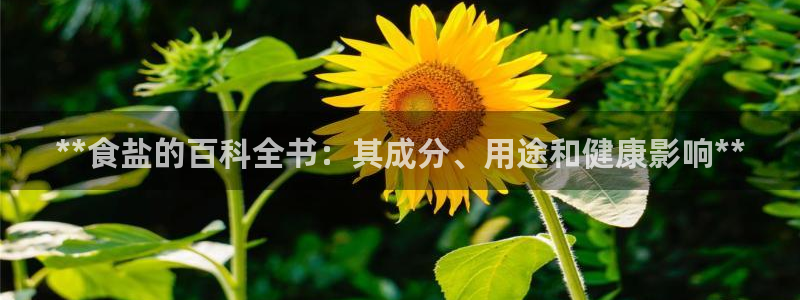 威九国际客服电话号码