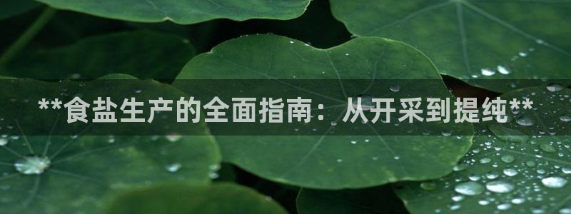 威九国际app入口在哪