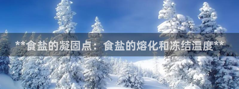 威九国际免费
