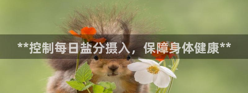 威九国际精