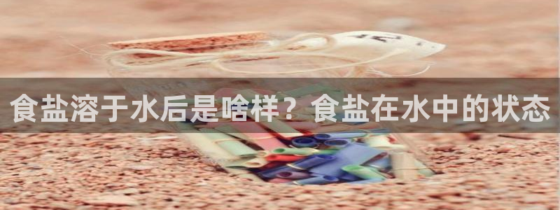 威九国际人民网招聘
