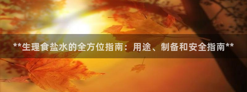 威九国际动漫