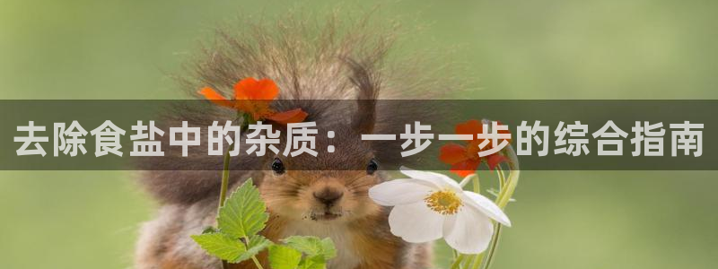 威九国际风情万种