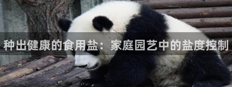 威九国际APP那个地方