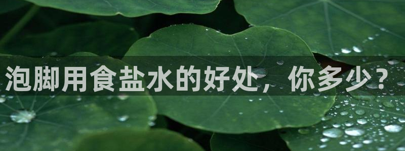 威九国际8ⅹ8x