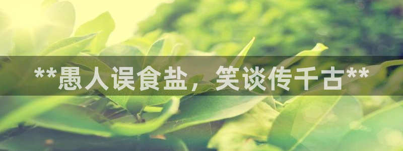 威九国际mm