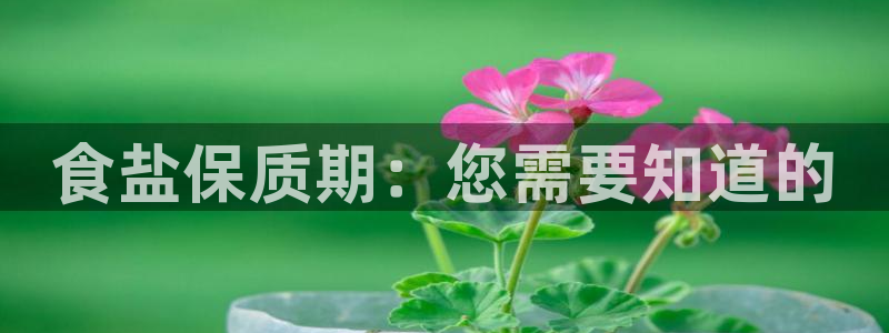 威九国际66m免费版