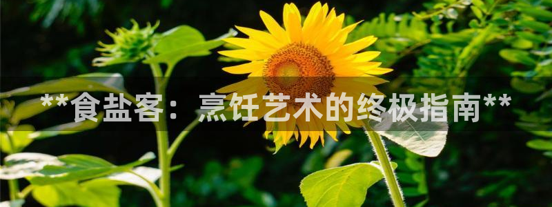威九国际网站安全吗可靠吗