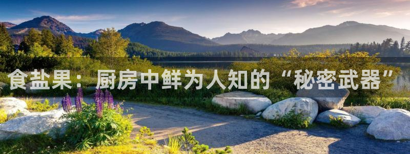 威九国际官网版下载