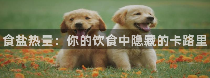 威九国际可以退钱吗怎么退的