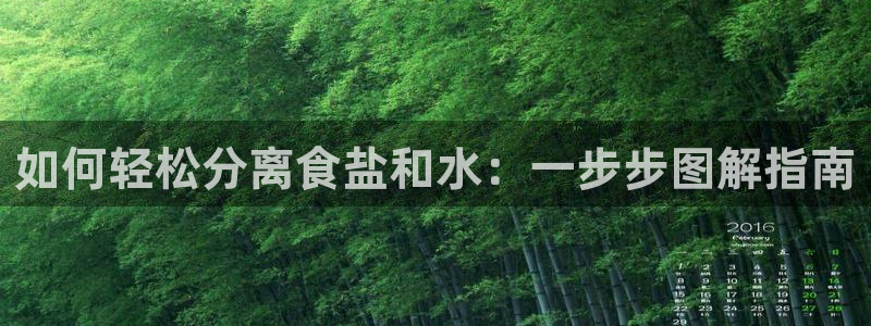 威九国际Sxsx