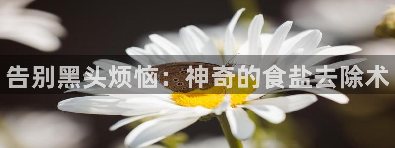 威九国际女主名字