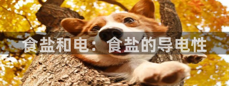 78mapp威九国际网
