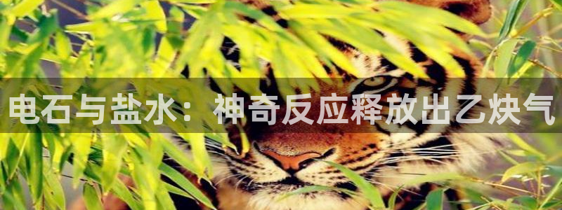 威九国际真人游戏