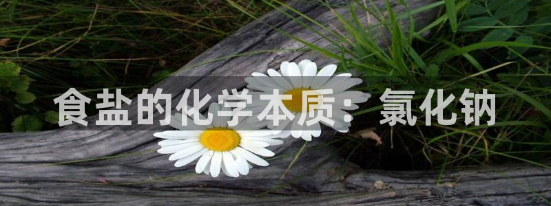 威九国际78mapp官网版下载