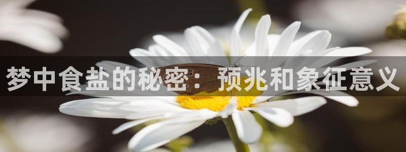 威九国际H