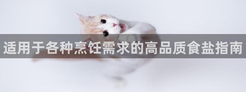 威九国际旗下艺人