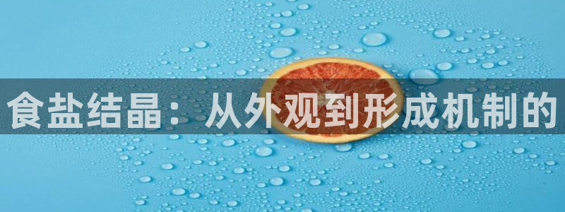 威九国际旗下艺人
