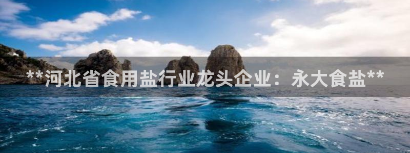 保定威九网络科技有限公司
