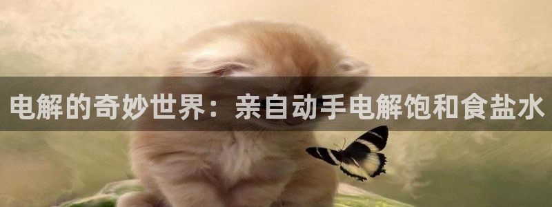 威九国际特殊奖励我的奖励竟然是嫂子