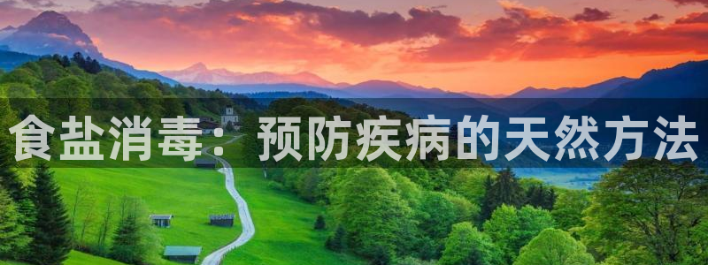 威九国际78mb