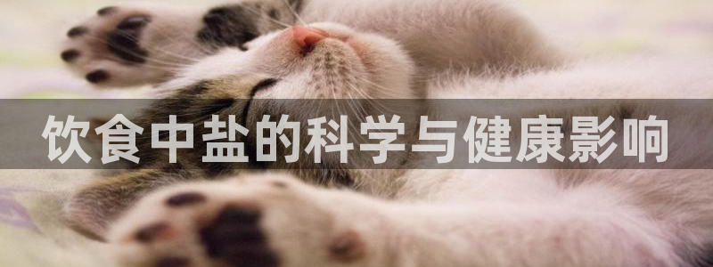 威九国际下载官网app
