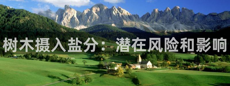 威九国际新