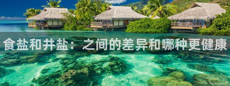 威九国际男主
