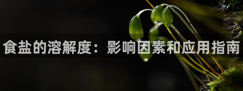 威九国际官网版下载