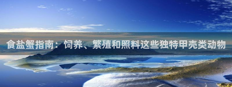 威九国际网站怎么样知乎