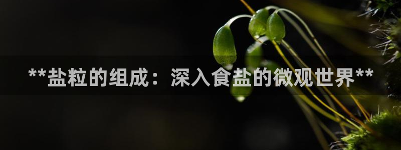 威九国际体育
