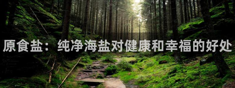 威九国际精选
