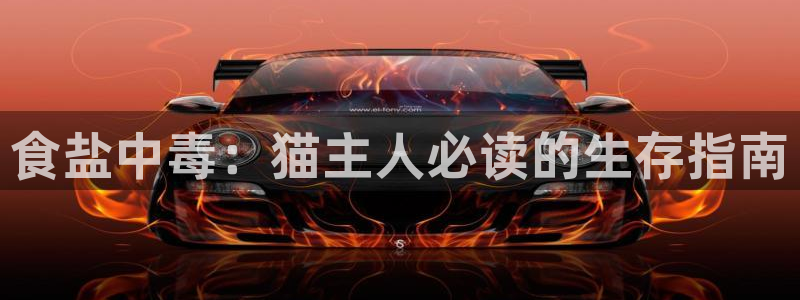 威九国际在线平台怎么样啊