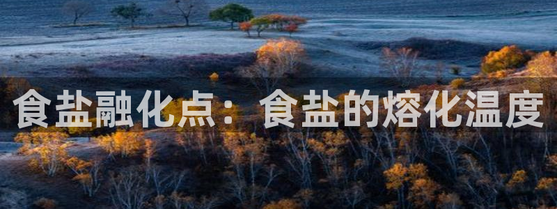 威九国际的金融服务怎么样