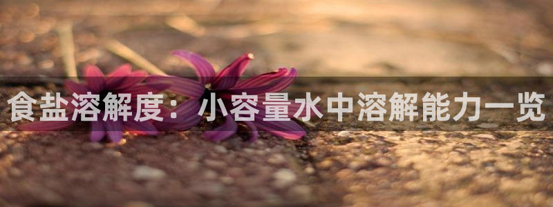 78mapp威九国际官网