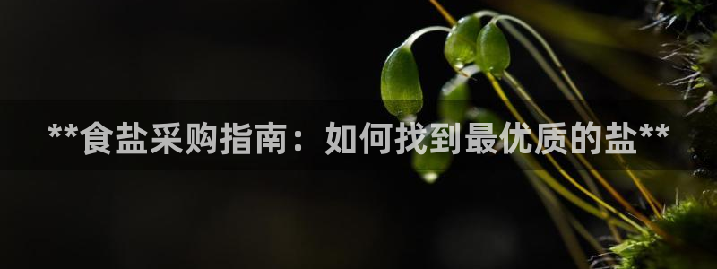 威九国际人民网招聘